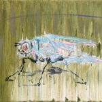 Fliege, Öl auf Gewebe, 40 x 50 cm, 2025