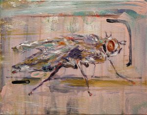 Fly in my kitchen, Öl auf Gewebe, 40 x 50 cm, 2024